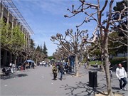 04152011_Lori and Rons_69